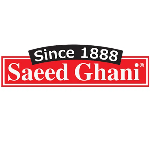 Saeed Ghani